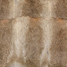 Load image into Gallery viewer, Can be ordered in: ARCTIC RABBIT CUSHION FULL SKIN NATURAL 40cm x 40cm