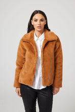 Load image into Gallery viewer, Steinway Jacket- GOLDEN