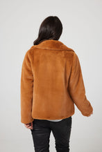 Load image into Gallery viewer, Steinway Jacket- GOLDEN