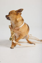 Load image into Gallery viewer, Toto Rope Dog Collar
