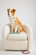 Load image into Gallery viewer, Toto Rope Dog Collar
